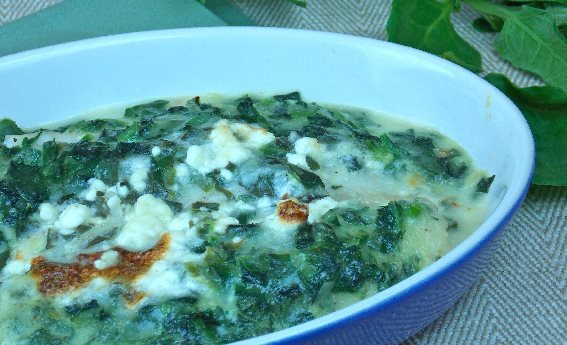 foto da receita Pescada gratinada com creme de espinafre