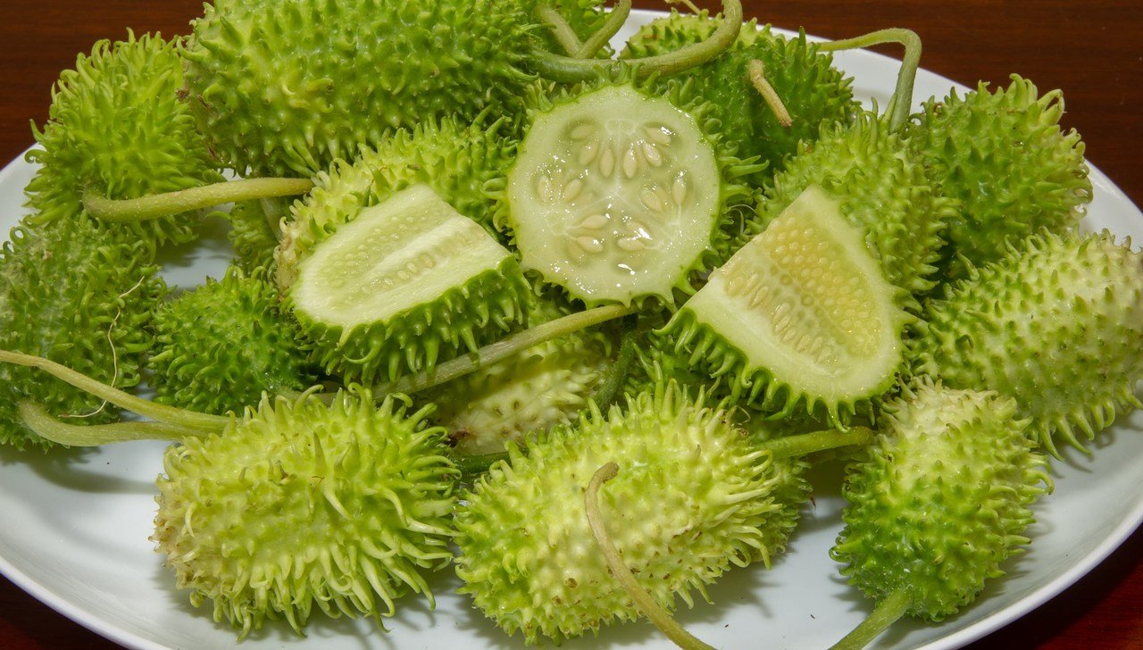 foto da receita Salada de maxixe